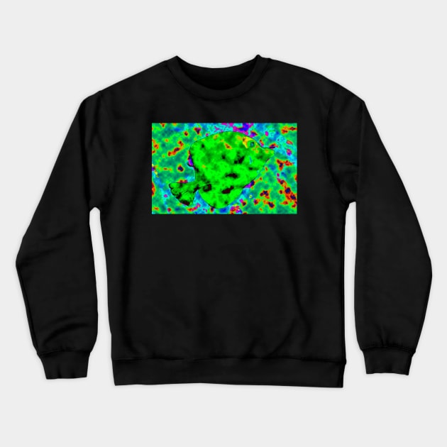 Green fish Crewneck Sweatshirt by dltphoto